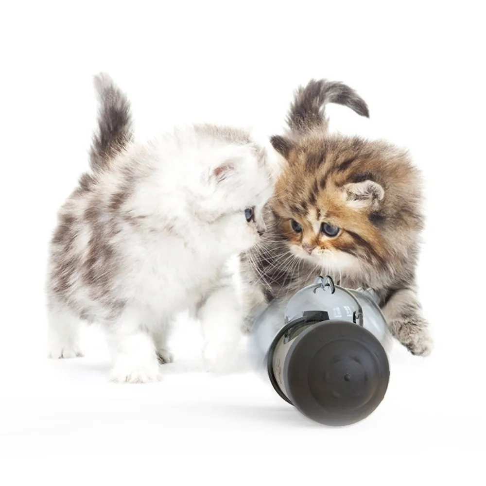 Brain Game Dog Inte… - image