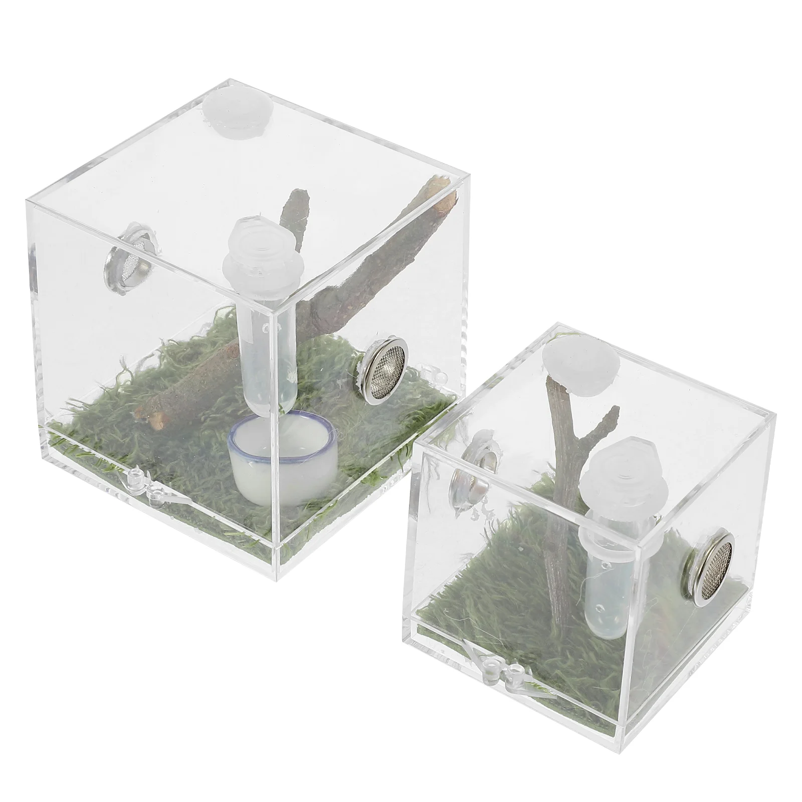 Jumping Spider Breeding Box Enclosure Snail Terrarium Case Insect Habitat Cage Animal