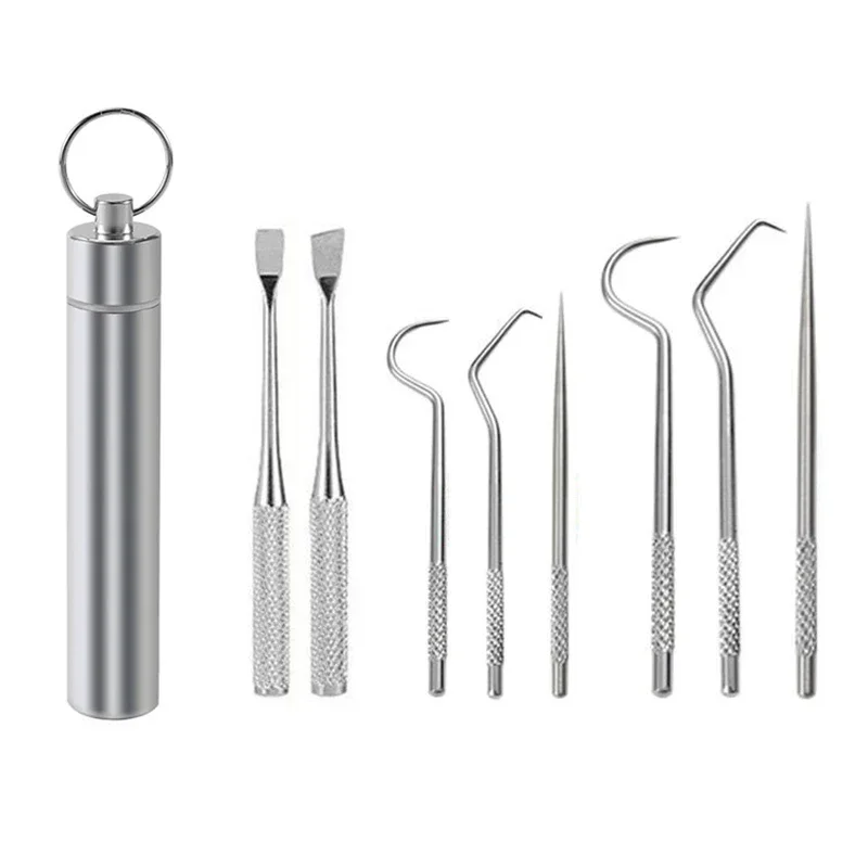 Stainless Steel Toothpick Set Tooth Flossing Reusable Toothpicks Portable Toothpick Floss Teeth Cleaner Oral Cleaning