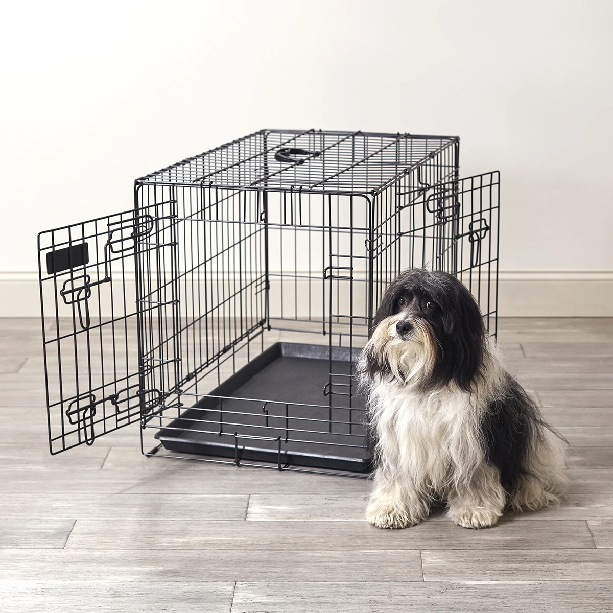 Foldable Modern Dog Crate Multiple Sizes Collapsible Pet Cage