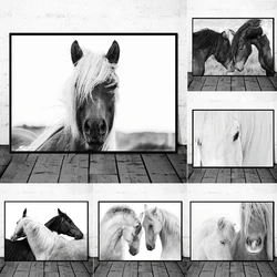 Black And White Horse Head Poster Art Painting , Animal Horses Photography Canvas Art Prints Home Room Wall Picture Modern Decor