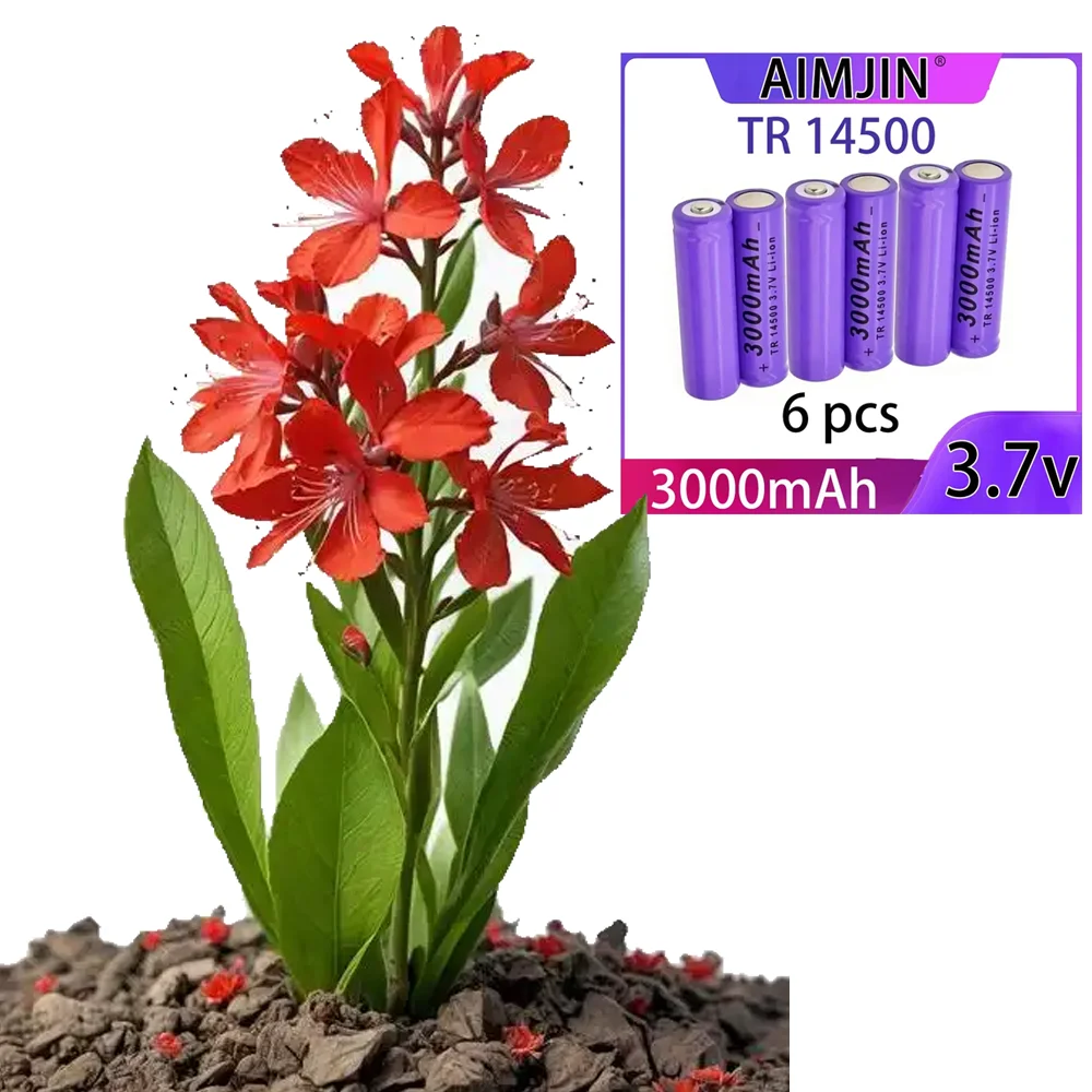 3.7 V 14500 Battery Lithium AA 2A 3000mAh Ion for Toys, Microphones, Cameras, Etc