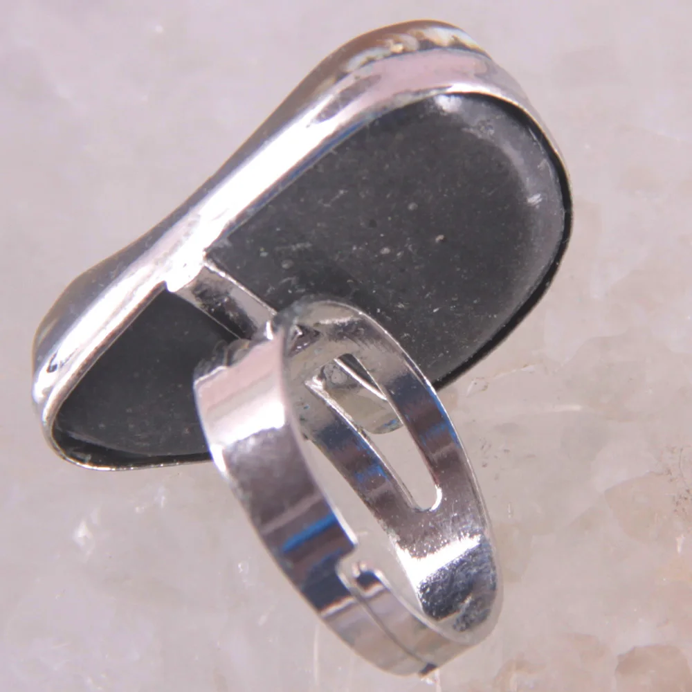 Fashion Jewelry New Zealand Abalone Shell Ring Adjustable Z102