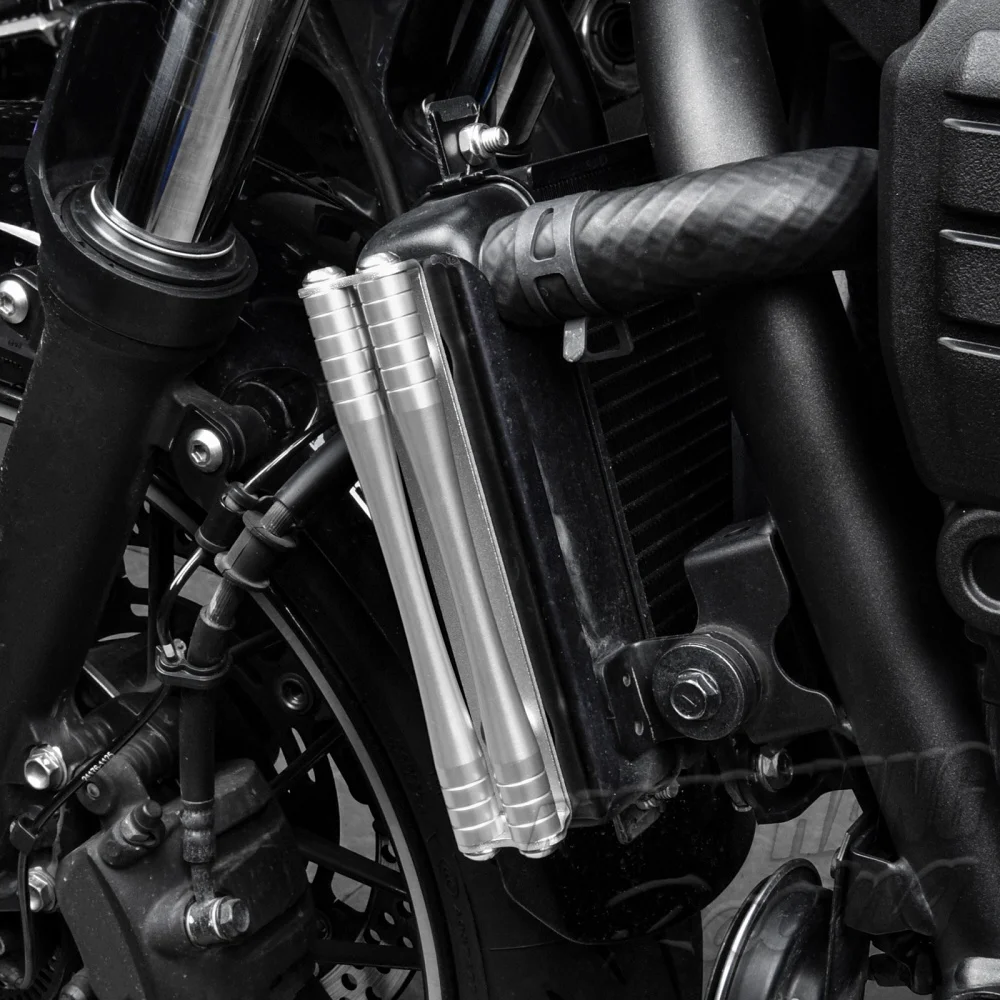 For Kawasaki Z650RS 2022-2025  Radiator side bar trim protection accessories Z650RS Refitting Radiator Guards