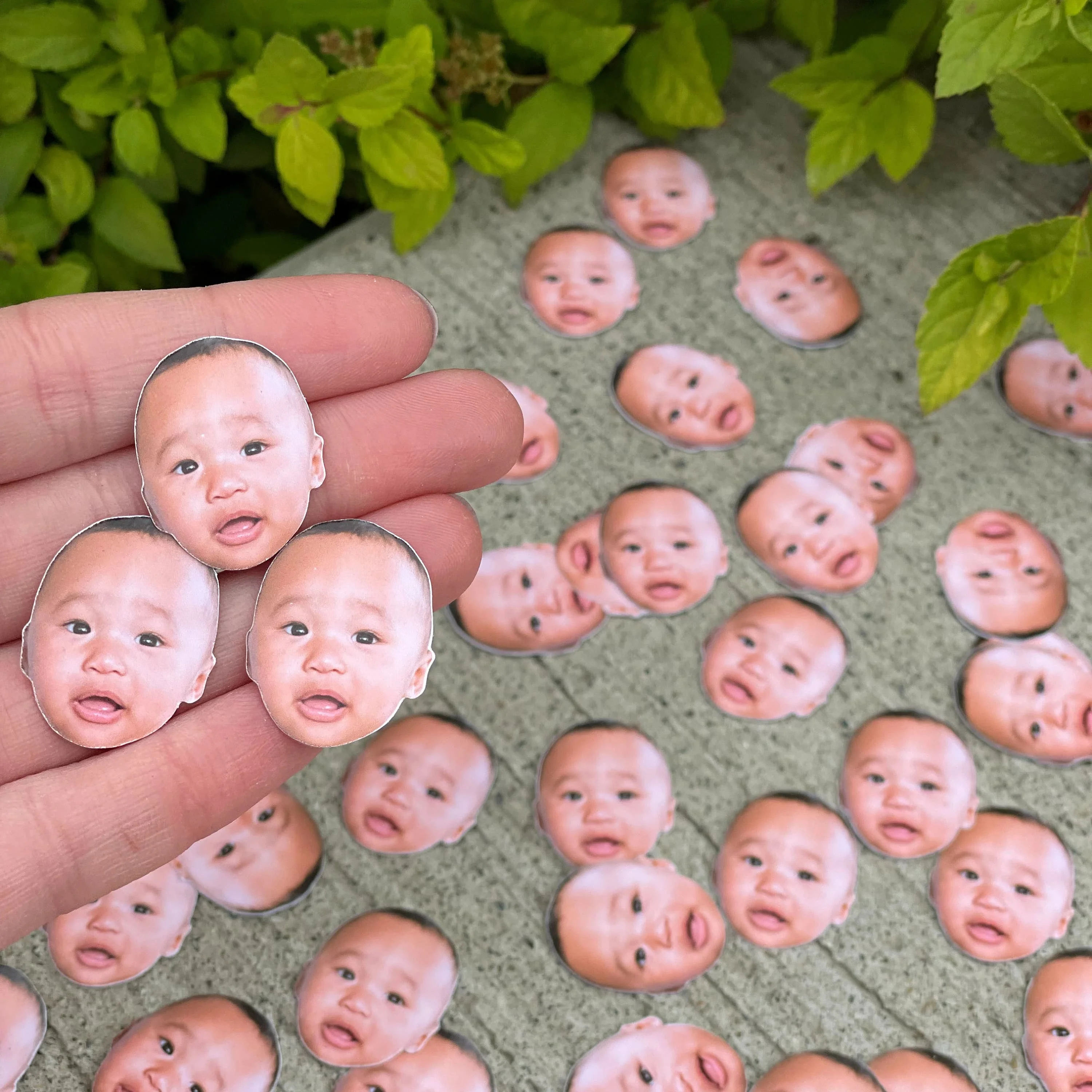 قصاصات الوجه. تتوفر خيارات متعددة بلمسة نهائية لامعة