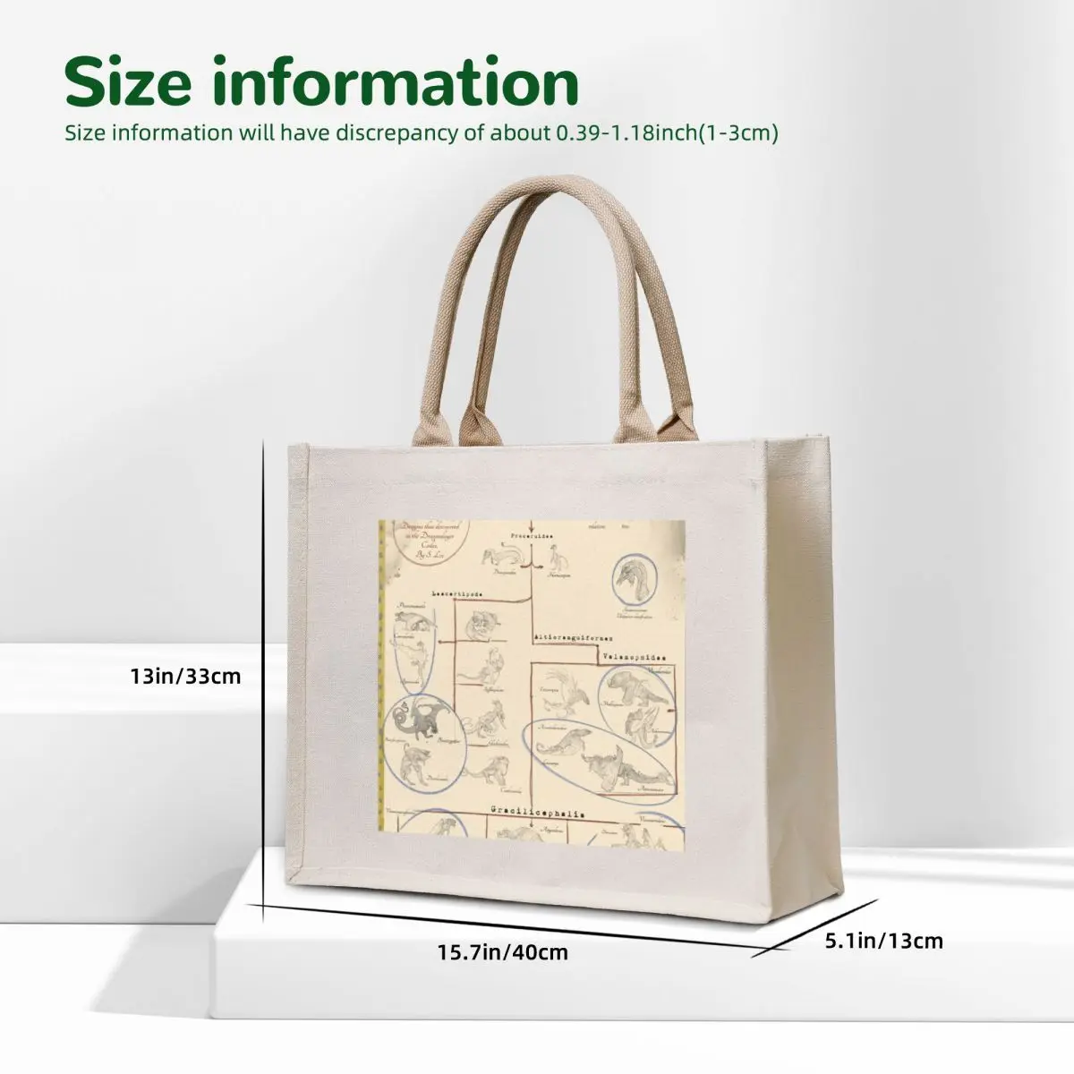 Dragon Species Cladogram Tote Bag tote bag women Fabric bag Shopper Reusable bags