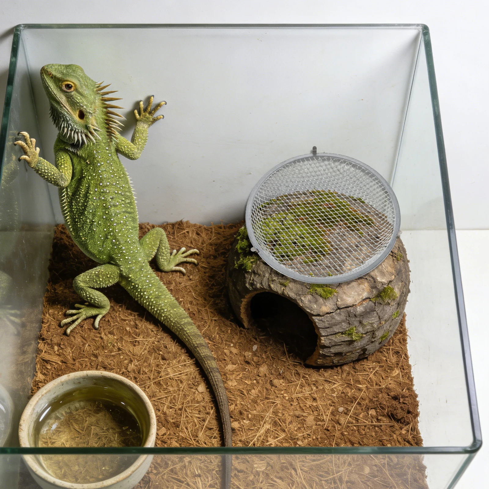 

Reptile Anti-Scald Lampshade Mesh Guard Heating Lamp Cover Safe Heat Protection for Snakes Lizards Turtles Terrarium Lamp