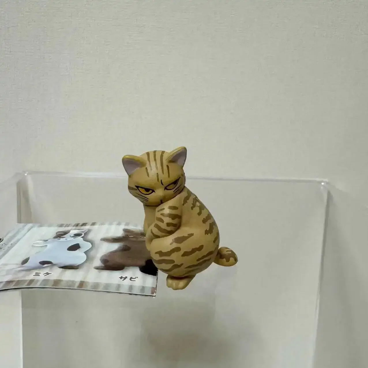 Sociale Punk Kat Schaalmodel Een Kat Met Een Felle Oog Tafelblad Decoratie Action Figure Speelgoed Nieuw