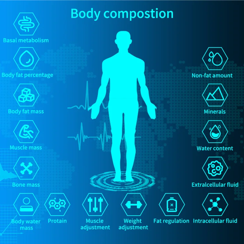 Bioimpedância Bioquímica Clínica Instrumentos Analíticos Totalmente Automáticos Analisador Químico