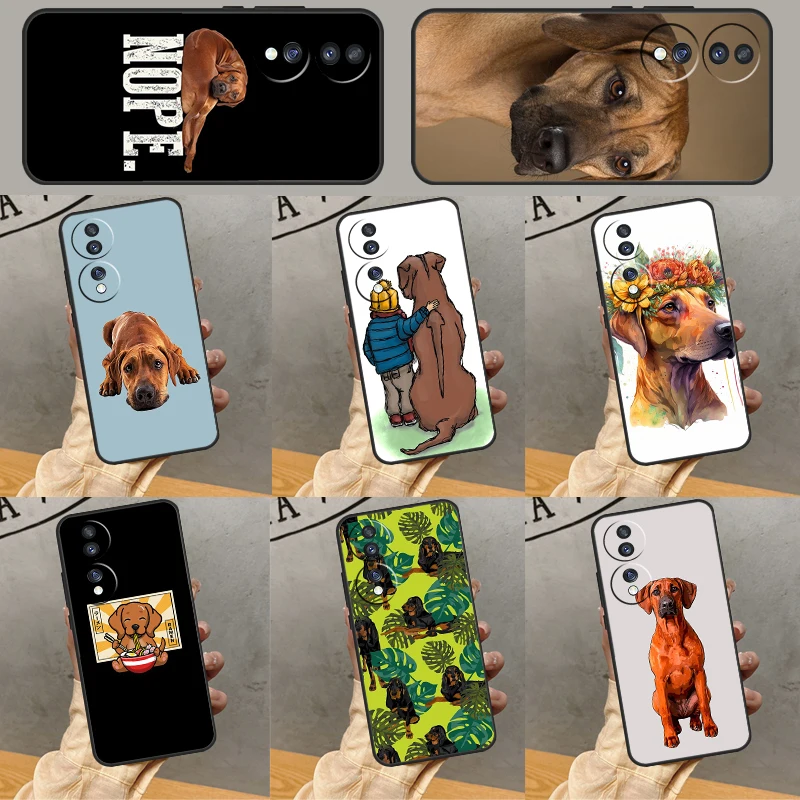 Rhodesian Ridgeback…