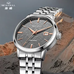 Seagull Luxury Man Watch Business Waterproof Male Clock TaiHang Design Date Stainless Steel Men Watch reloj hombre 2024New 6165A