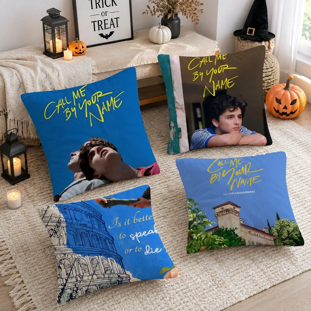 Movie C-Call Me By Your Name Cushion Cover Plush Decorative Pillow Case With Hidden Zipper Cutecore Room Decor For Home