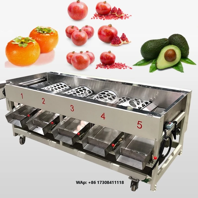 Cherry Tomato Grading Machine/fruits Sorting Machine/grader Machine for Oval Fruits Fruit Sorting Machine by Weight for Peach