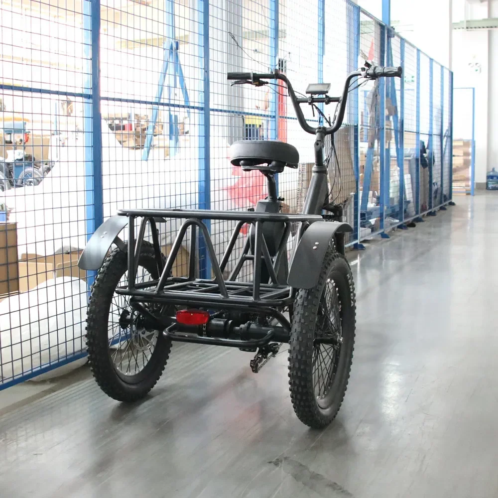 48V 15Ah Lithium Battery Aluminum Alloy Frame E-Tricycle 1000W Motor Electric Tricycle best three wheel electric bike