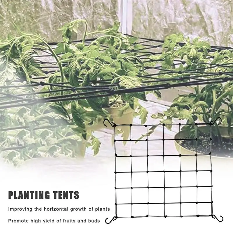 Trellis Net for Grow Tent Elastic Hydroponics Support Plant Net with Hooks Growing Net 44 Inch Grid Heavy-Duty Construction