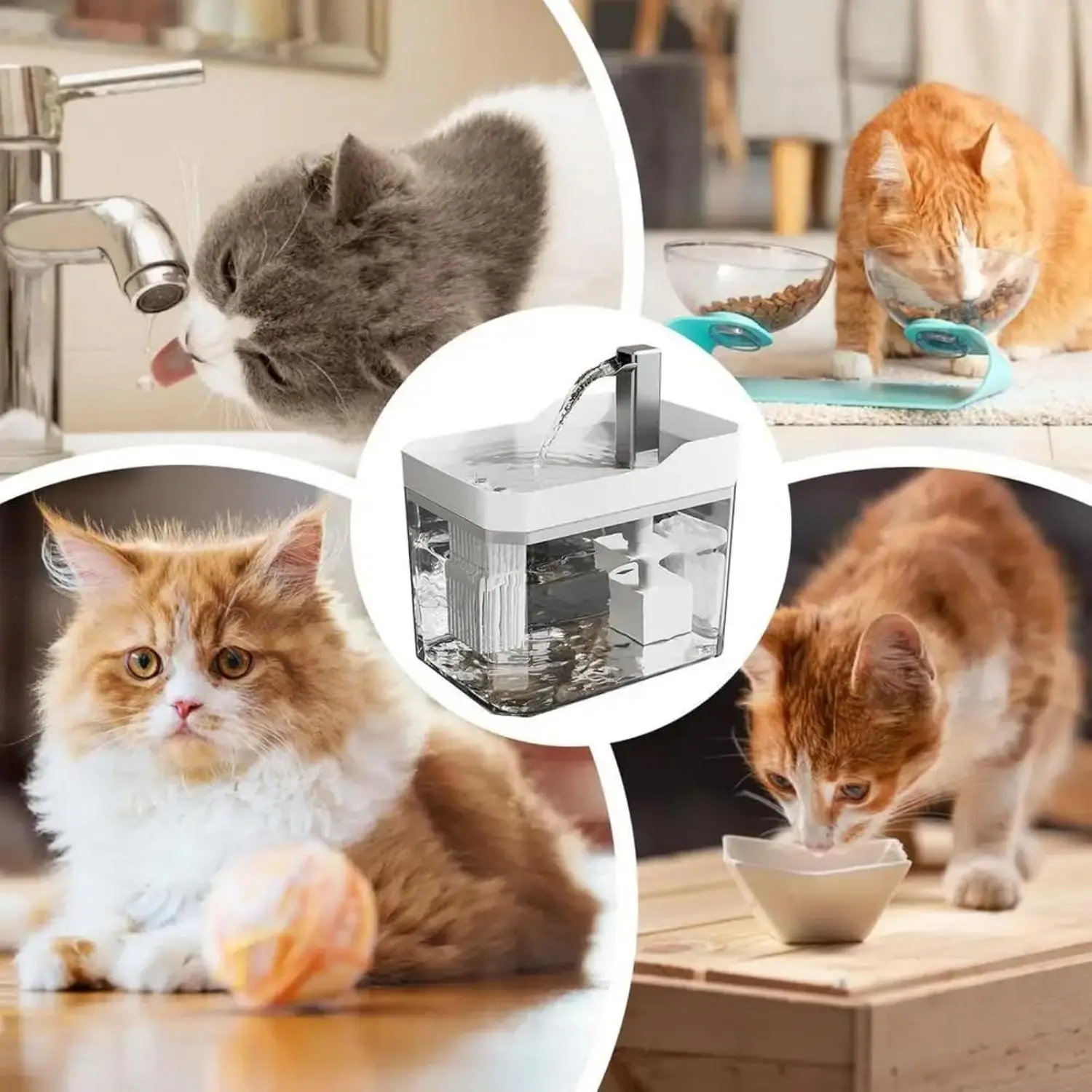 Thumbnail 3 - #11 Cheap Automatic Pet Water Dispensers Worth Buying