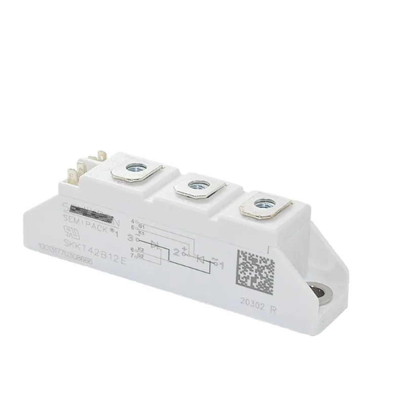 

SKKT42B16E SKKT106-18E SKKT57B16E SKKT92-18E SKKT92-16E SKKT72B16E SKKT57-16E SKKT42-18E SKKT42-14E SKKT92-14E SKKT106-12E