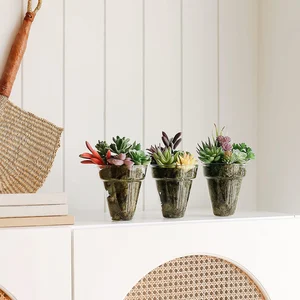 12 Main Sales Cactus - №9