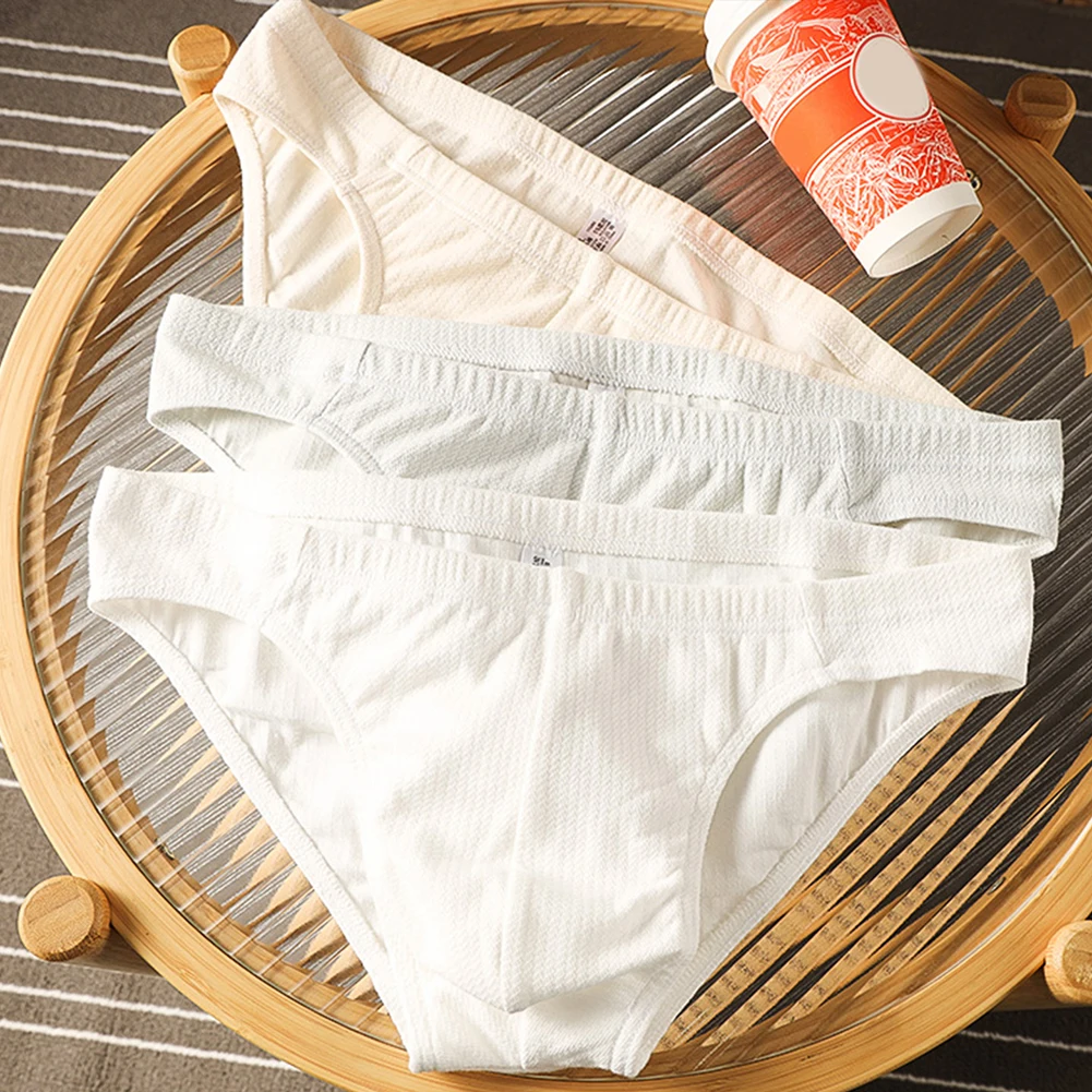 Classic Style Breathable Briefs Lightweight Briefs M-2XL Size New Condition Soft Fabric Men Breathable Pouch Underwear