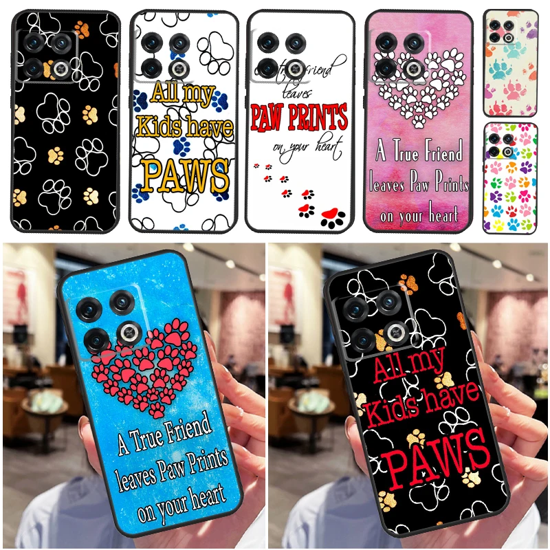 Dog Friends Cat Pet… - image