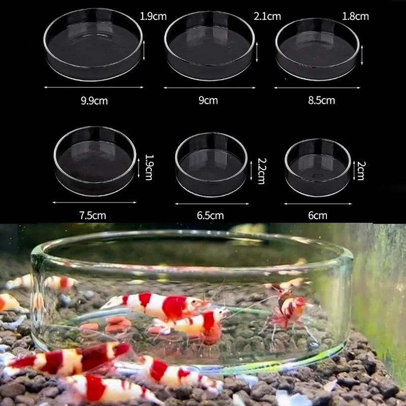 Shrimp Feeding Dish High Transparent Glass Feeding Dish Fish for Tank Clear Feeder Bowl Aquarium Fish Tank Reptiles Feeder