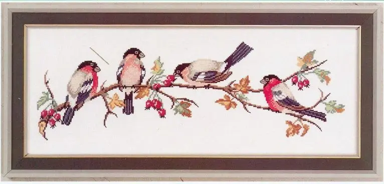 

Eva-14-091 Red fruits and birds 55-25 Beautiful Lovely Counted Cross Stitch Kit Sew Cozy Sewing Room Machine Dim 72378