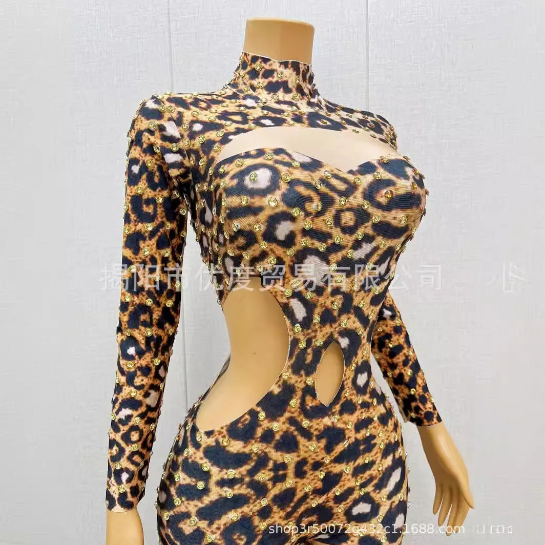 Hollow Waist Tight One-piece Glam Perspective Mesh Birthday Party Party Dance Night Leopard Vestido De Gala Noche Mujer Elegante