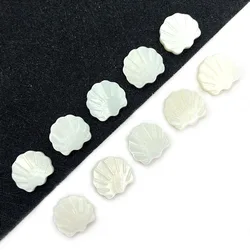 20pcs Natural Freshwater Shell Beads White Scallop Mother Beads Spacer Beads For Making Bracelets Jewelry Making Supplies Gift