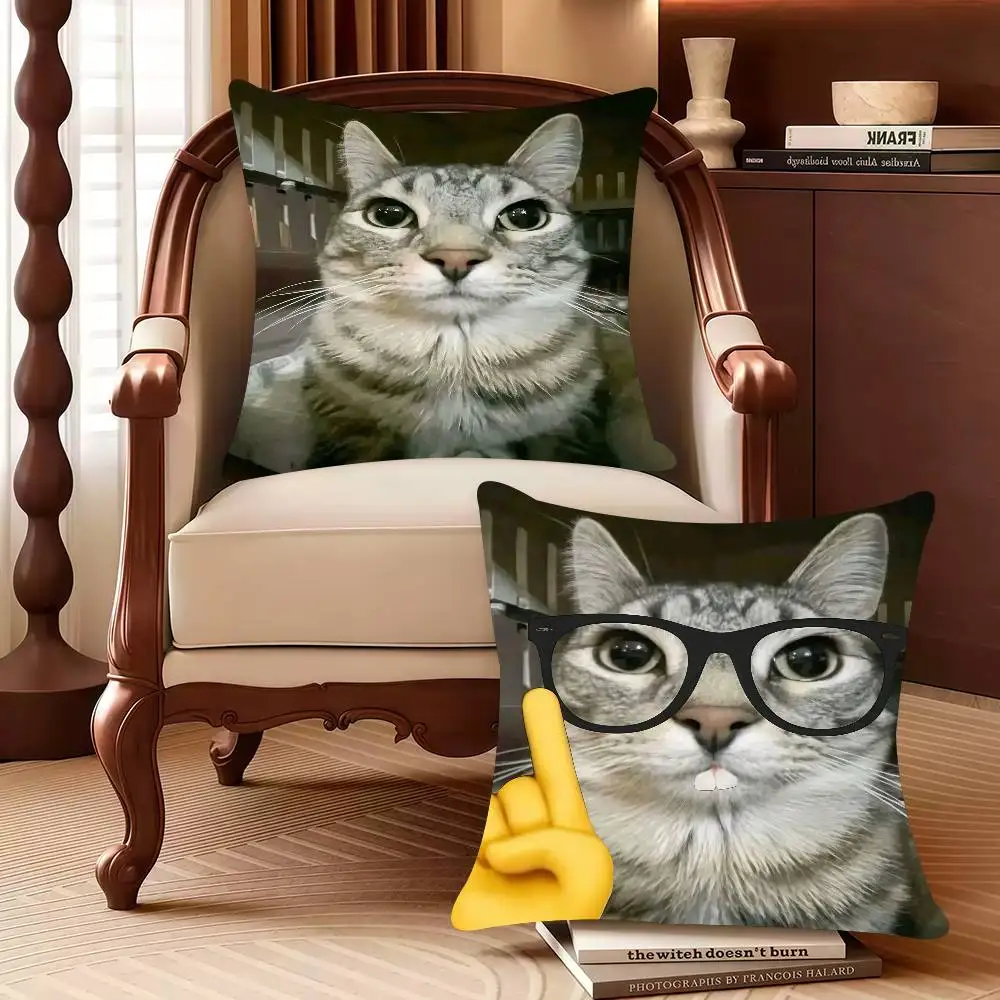 

Cat Meme Kawaii Animal Funny Pillow Case Decor Protective Covers Comfortable Soft For Sofa Living Room Home Office