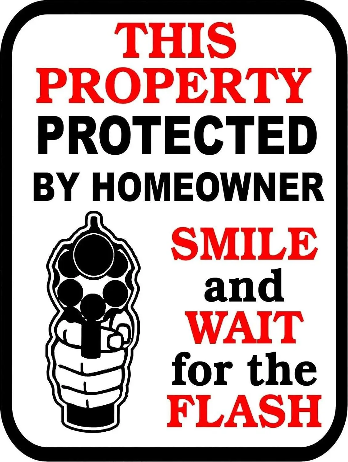 Vintage Metal Tin Sign Property Protected by Homeowner Gun Outdoor Street Garage Signs & Home Bar Wall Decor Signs 12X8Inch