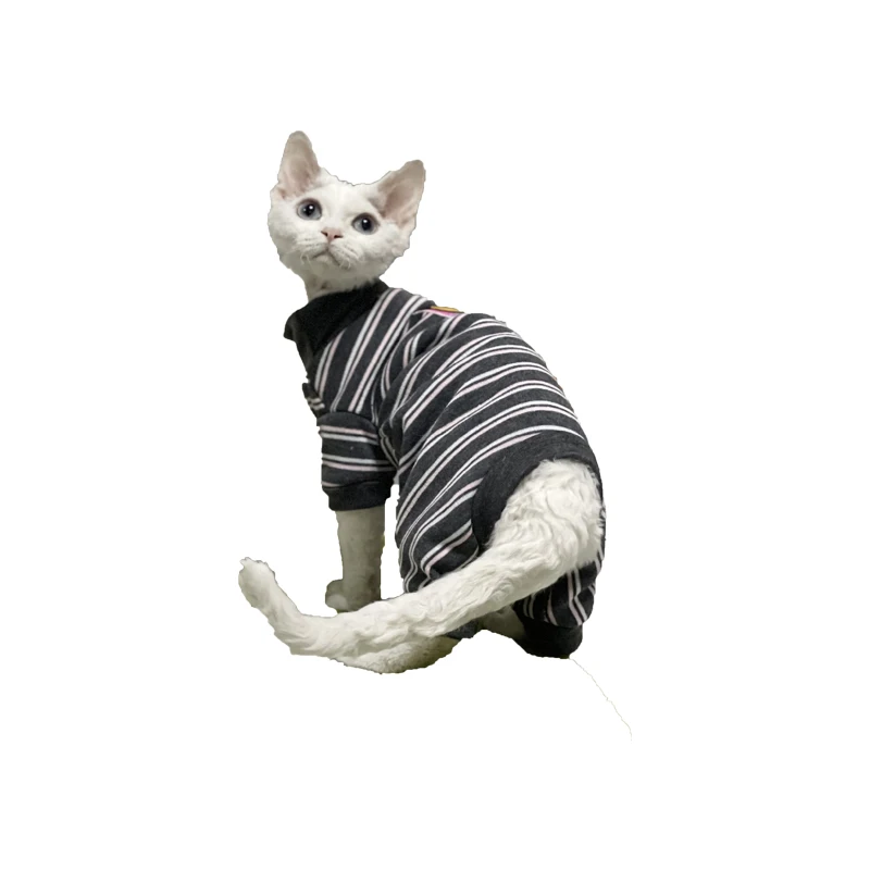 Hairless kocour oblečení zima rouno čistý bavlna elastická měkké sphynx kocour oblečení devon kocour oblečení kotě oblečení