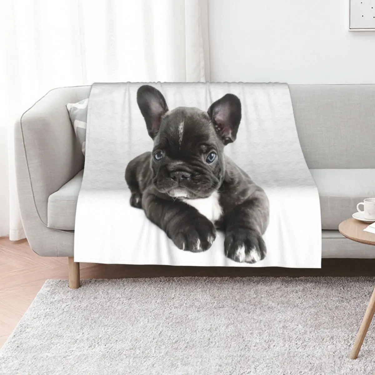 

Cutie Throw Blanket Soft Plush Plaid Shaggy Tourist Extra Large Throw Blankets