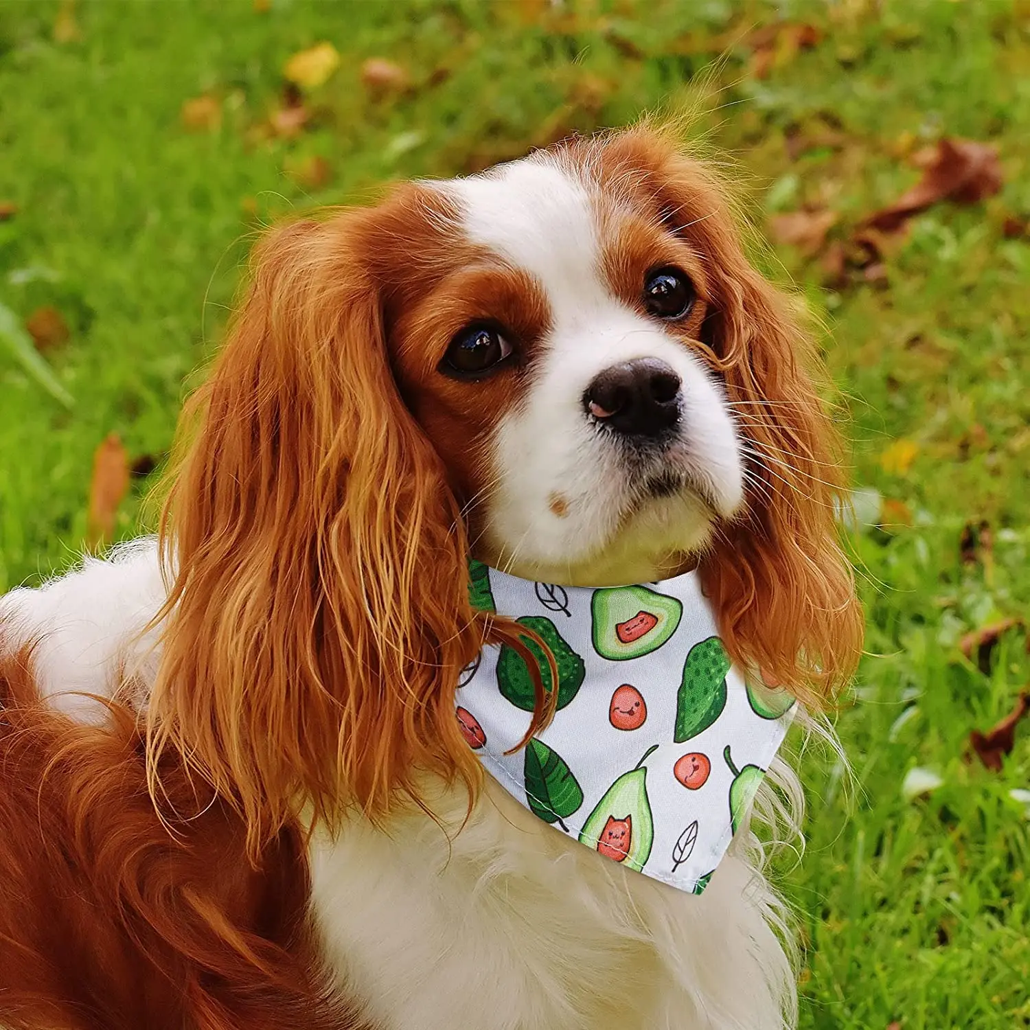 30Pack Spring  Floral And Summer Fruit Cute Dog Bandanas Soft Triangle Dog Scarfs Polyester Bandana for Small Medium Large Pets