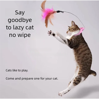 New product collar cat teaser self-entertainment cat toy neck collar feather bell cat toy pet supplies