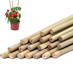 10pcs,Bamboo Plant Stakes For Outdoor and Indoor, Bamboo Sticks Garden Support Stakes Bamboo Poles Trellis for Tomato Vegetables