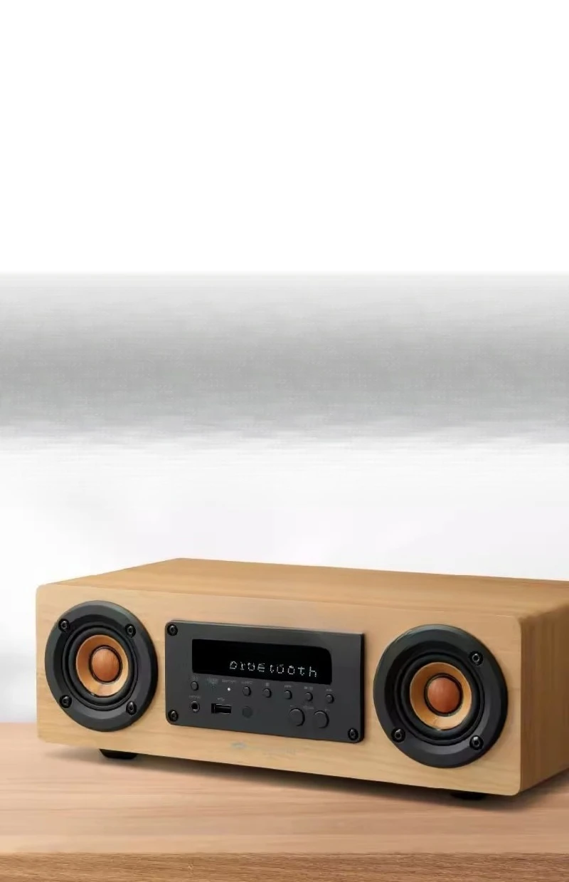 Victor EX-DM10 Bluetooth Wood Cone High Resolution Player FM/AM