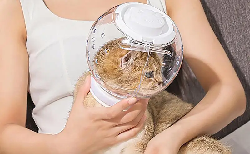 Museruola per gatti con tagliaunghie Set tagliaunghie Casco per astronauta per gatti di grandi dimensioni Maschera per toelettatura per gatti Copri