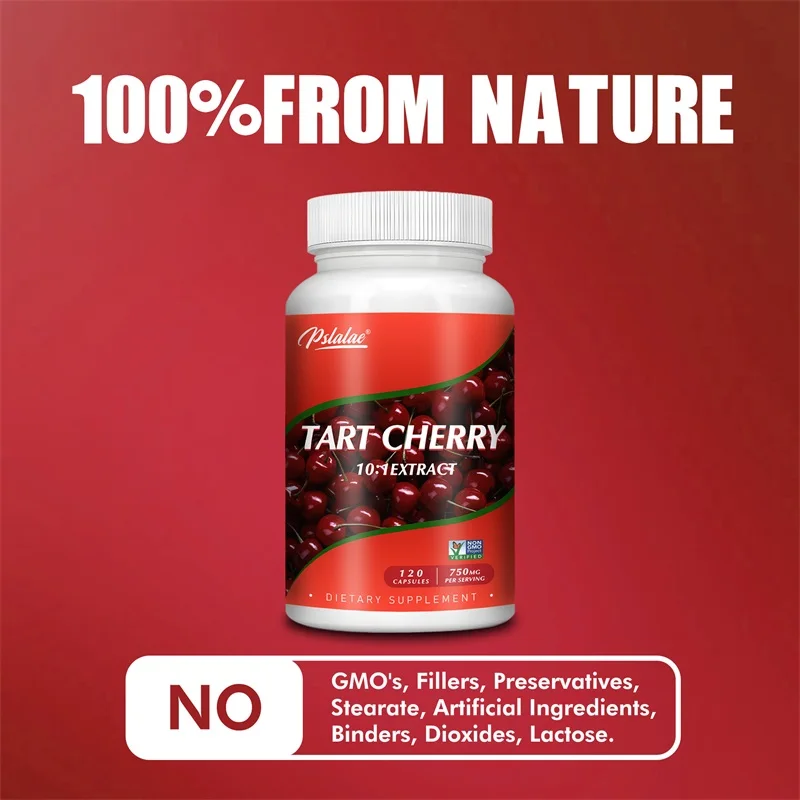 Tart Cherry-apoya la salud de las articulaciones, el sueño y los niveles equilibrados de ácido úrico para mejorar la salud física y Mental