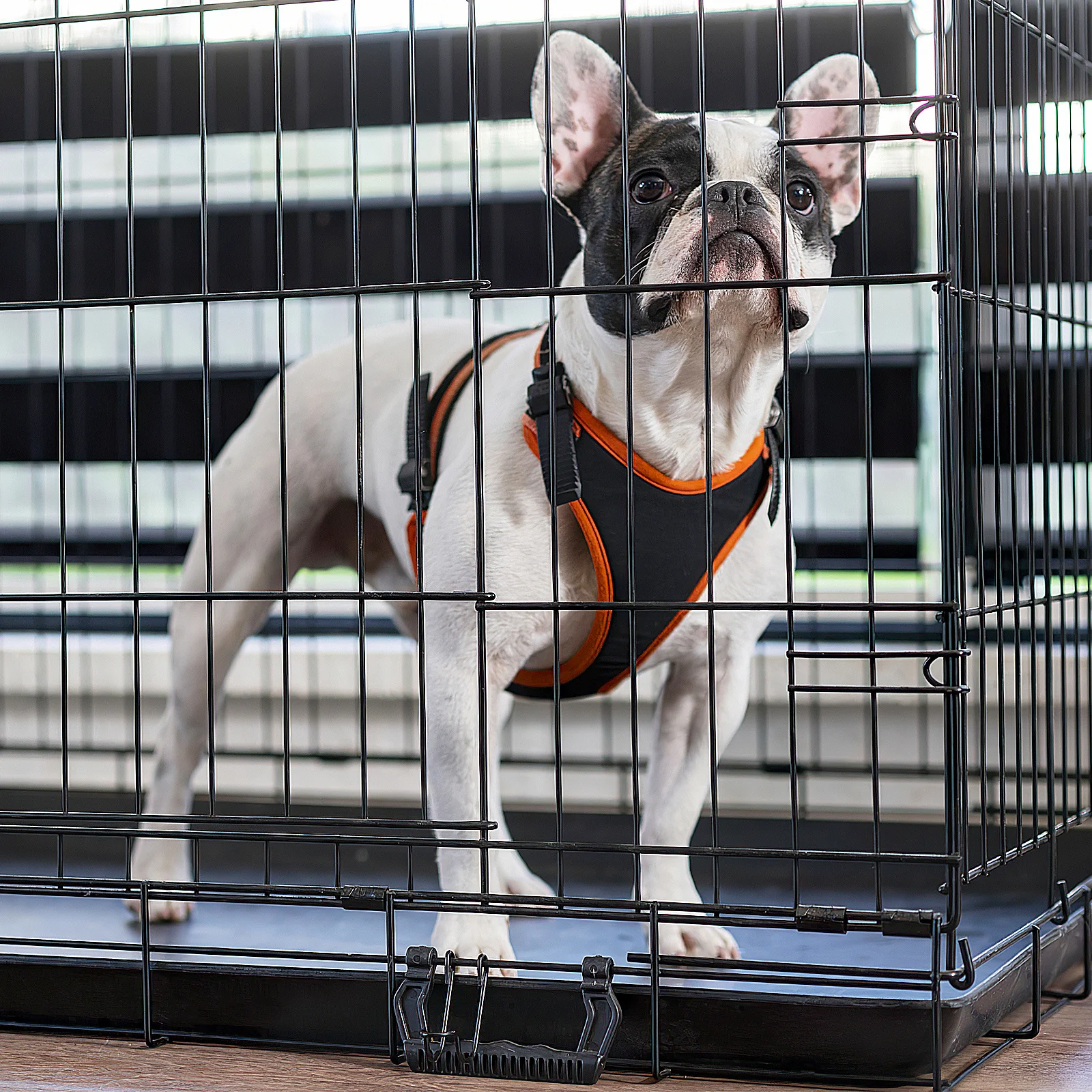 

2pcs Pet Tray Leakproof Replacement Bottom Tray For Bird Cage Bunny Parrot Dog Cat Crate Holder Easy Clean Cage Liner