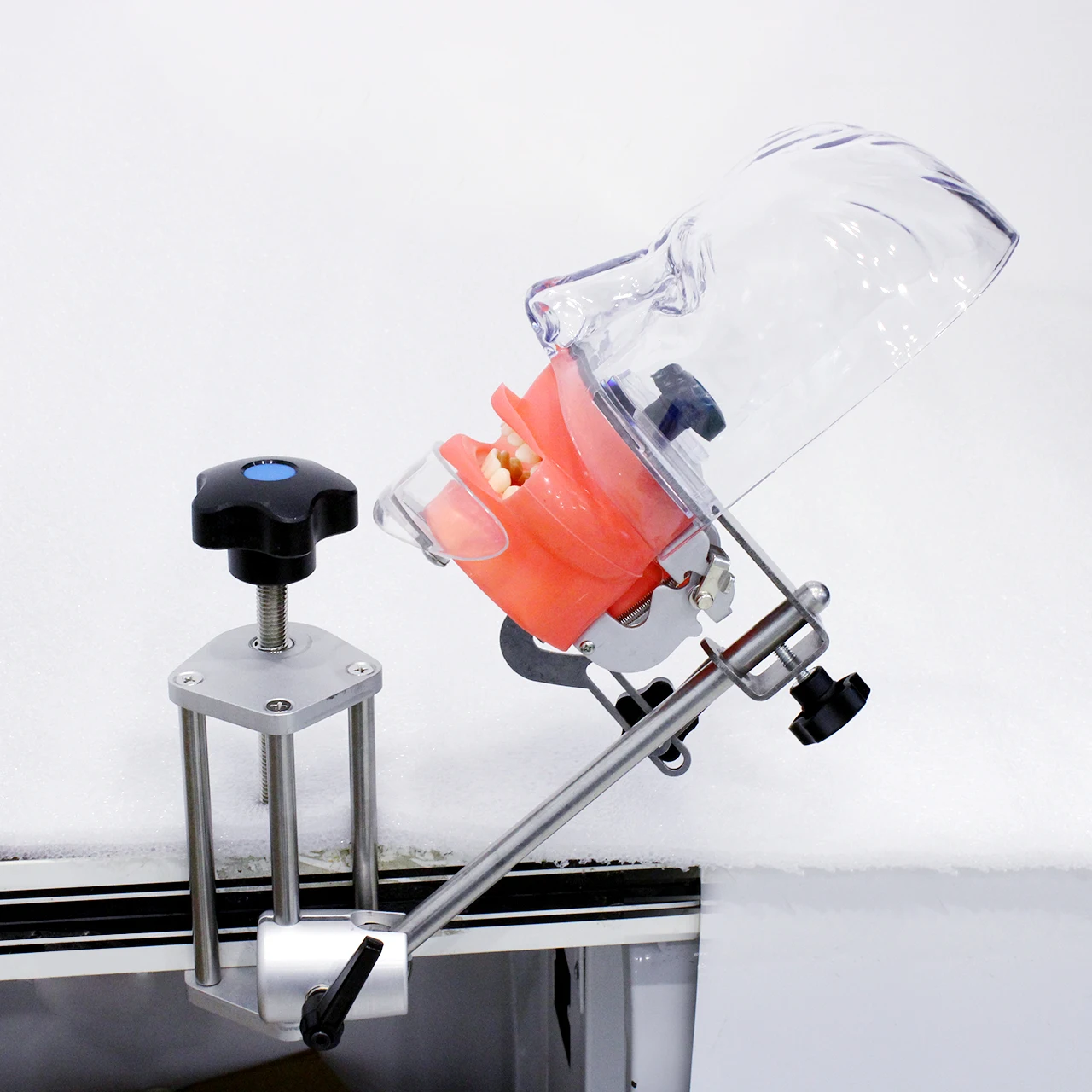 Head Model Dental simulator Nissin manikin phantom head model with new style bench mount for dentist teaching