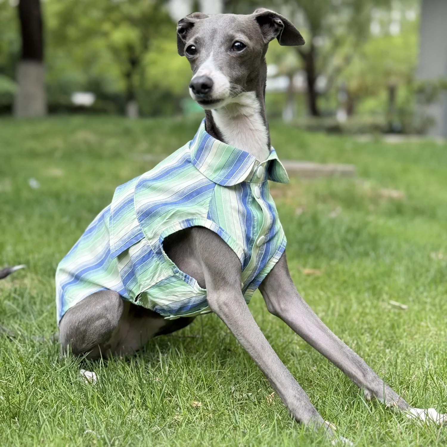 Sun Protection Blue Striped Shirt for Italian Greyhound Ice Silk Fiber Sleeveless Green Coat for Mid Dogs Summer Hat For Whippet view 2