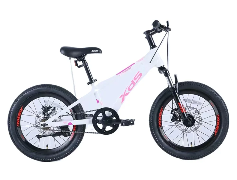 دراجة جبلية بإطار من سبائك الألومنيوم مقاس 18/20 بوصة دراجة طالب لفارس المغنيسيوم ذات سرعة واحدة