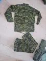 Camouflage forest