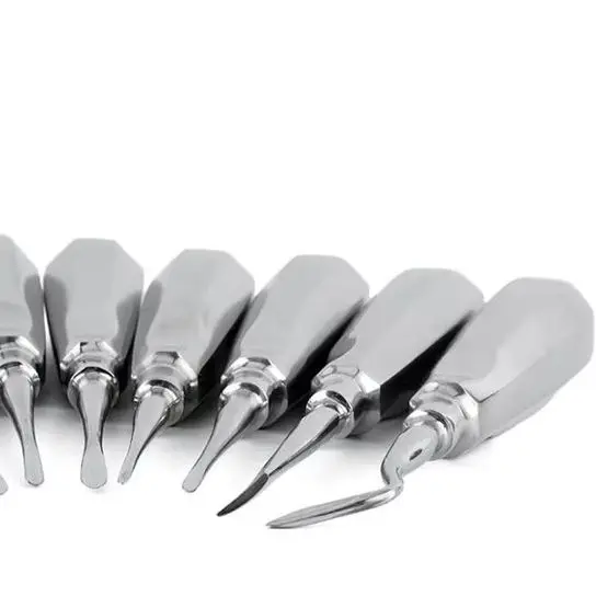 

10PCS Dental Elevator Handle Kit Luxating Lift Elevator Kit Curved Root Tooth Extraction Dentistry Lab Instruments