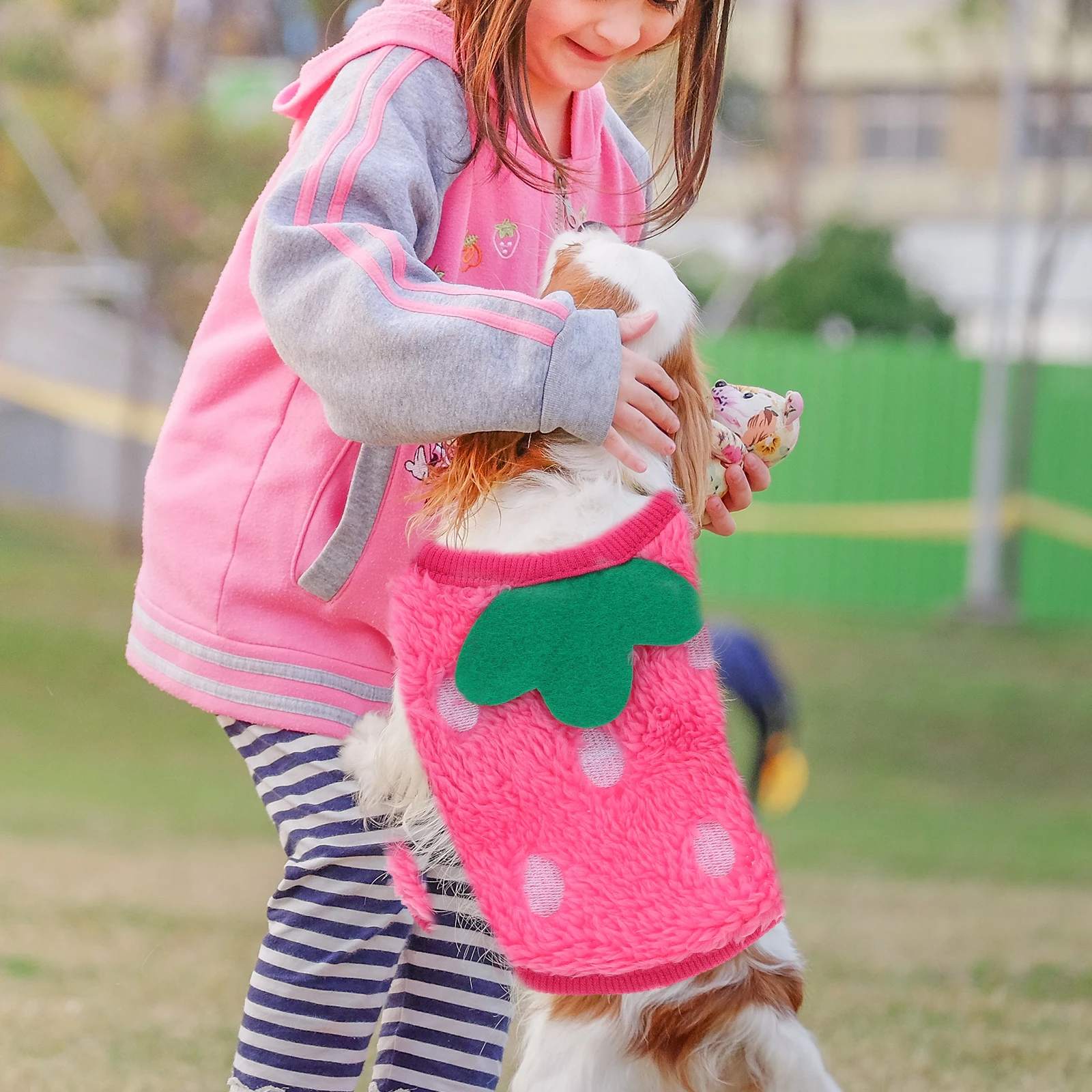 

2 Pcs Dog Sweater Coral Fleece Warm Strawberry Small Puppy Costume Winter Breathable Pet Clothes Rabbit Apparel Fashion Bright
