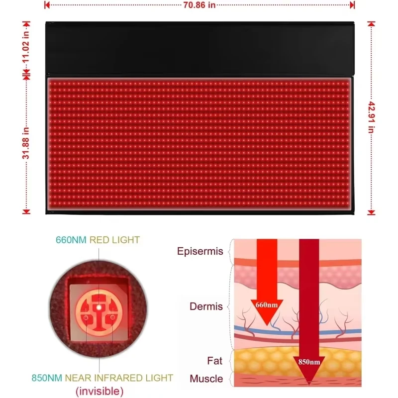 新型赤色光療法パッド LED全身療法パッド 2025