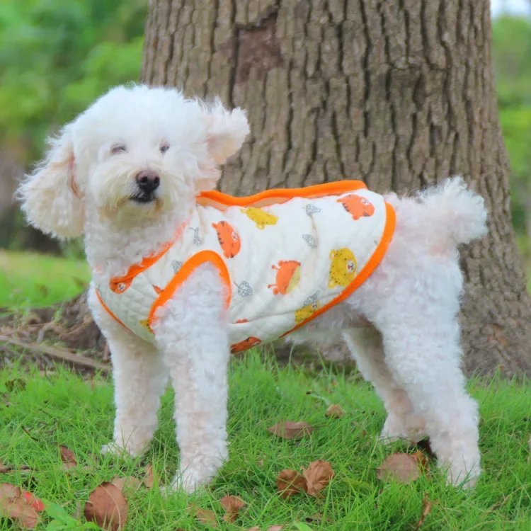 Chaleco de algodón para perro, abrigo, ropa de invierno para perros, traje, Corgi galés, Schnauzer, Pomerania, Bichon, Yorkshire, caniche, Chihuahua, ropa para cachorros