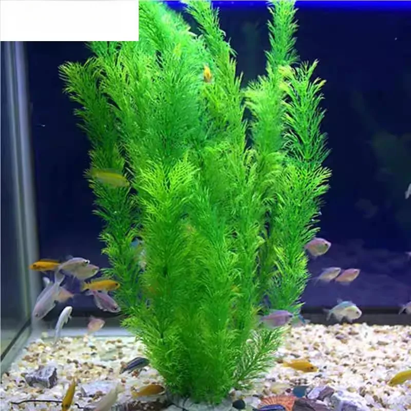 

Мягкое пластиковое украшение для аквариума: искусственная зеленая водная трава, декоративное растение для аквариума, искусственный морской ландшафтный декор