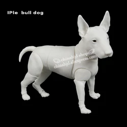 BJD Dog Pet 1/6 Doll BJD SD Joint Doll Oueneifs Educational Toys luodoll