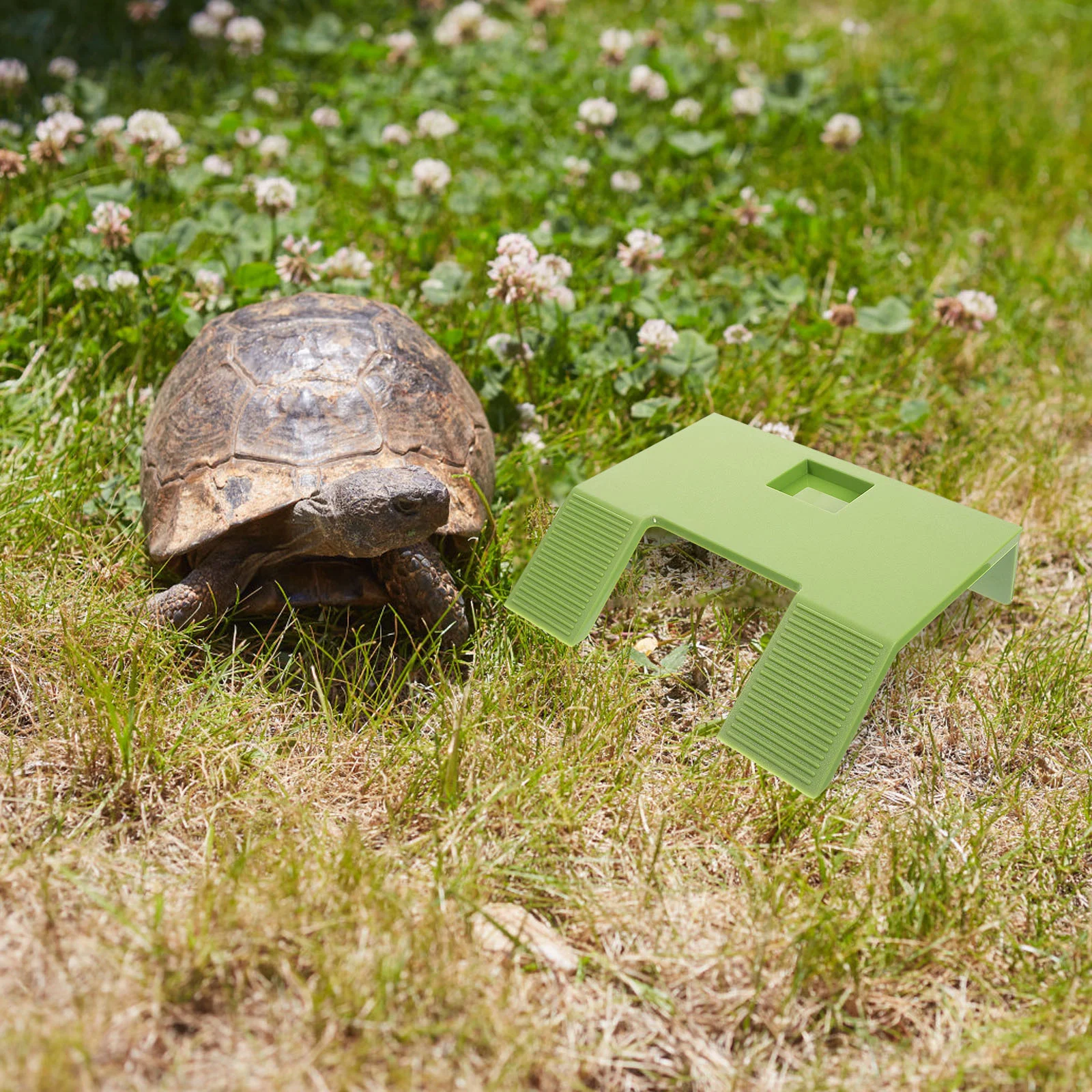 

Turtle Basking Platform Terrace Animals Tank Landscaping Decor Aquatic Green Toy